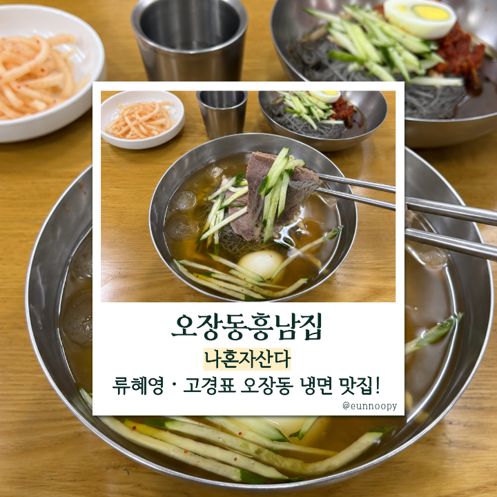 나혼자산다 류혜영·고경표 오장동 함흥냉면 맛집! 70년 노포 ‘오장동흥남집 본점’ 위치