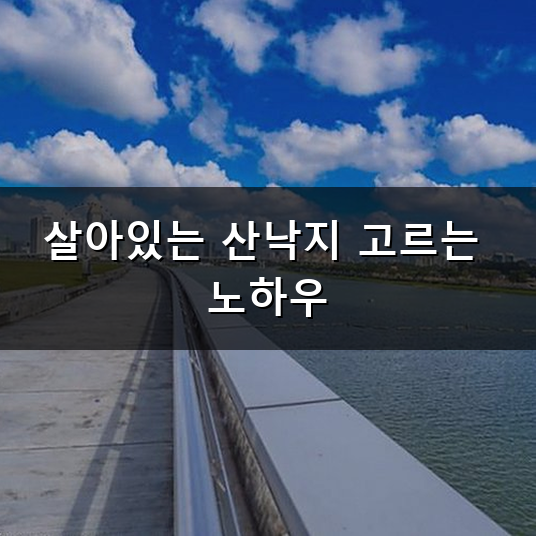 산낙지 고르는 방법과 맛있게 먹는 법