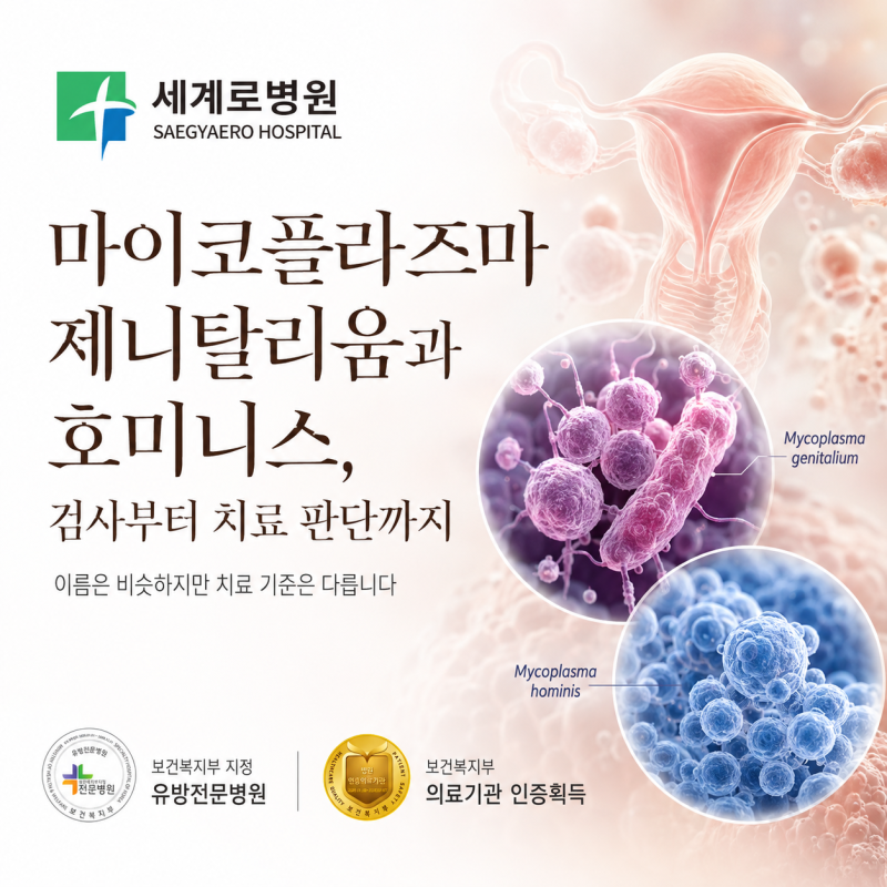 마이코플라즈마 제니탈리움과 호미니스, 검사부터 치료 판단까지