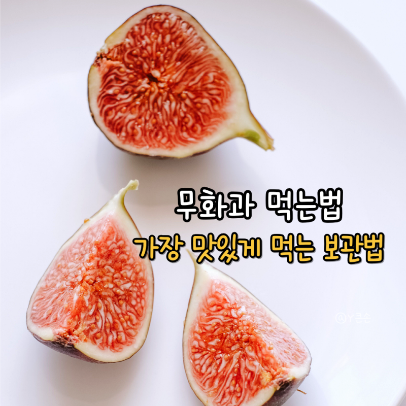 무화과 먹는법 가장 맛있게 먹는 방법과 보관법