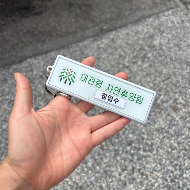 [강원] 국립 대관령자연휴양림 휴양관 침엽수 이용후기