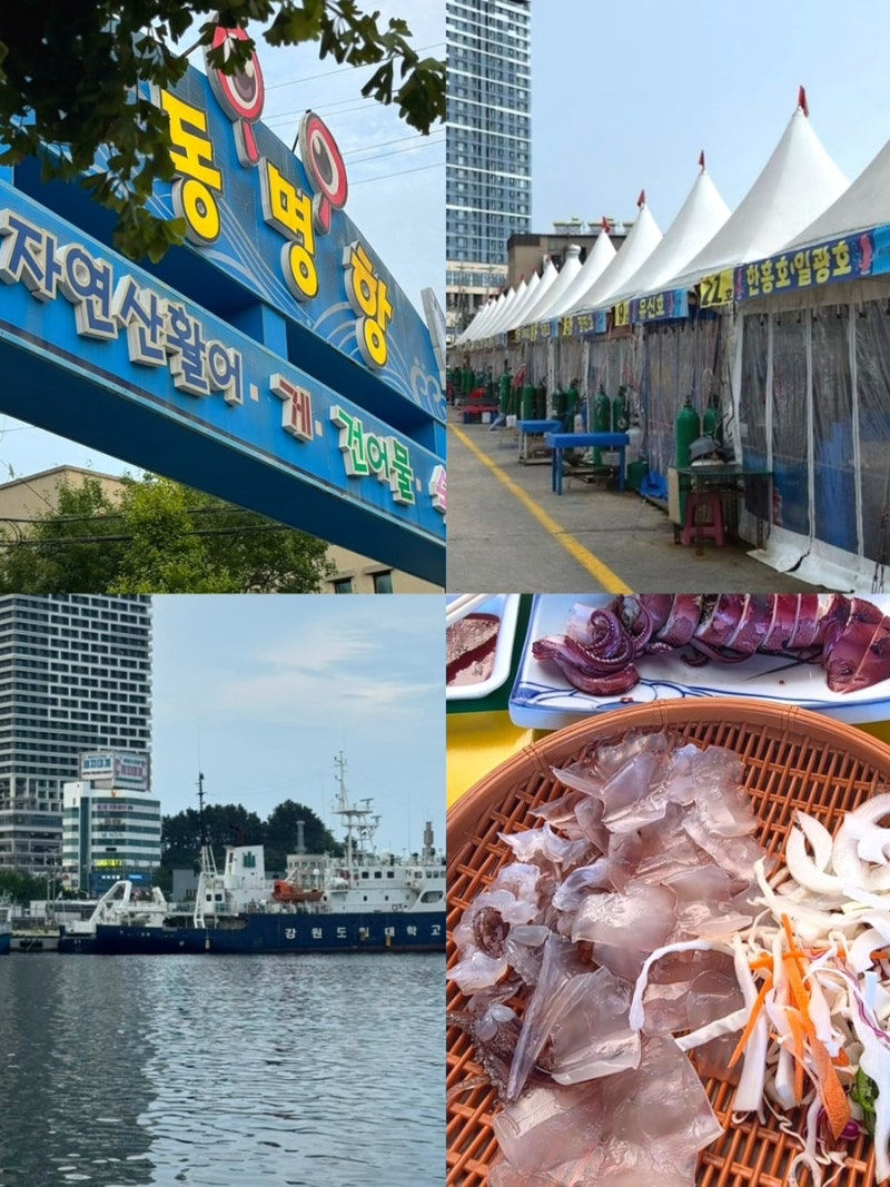 Gangwon-do Sokcho Attractions: Sokcho Port, Dongmyeong Port Squid Market - A Hot Spot for Food and Travel Course Recommendation