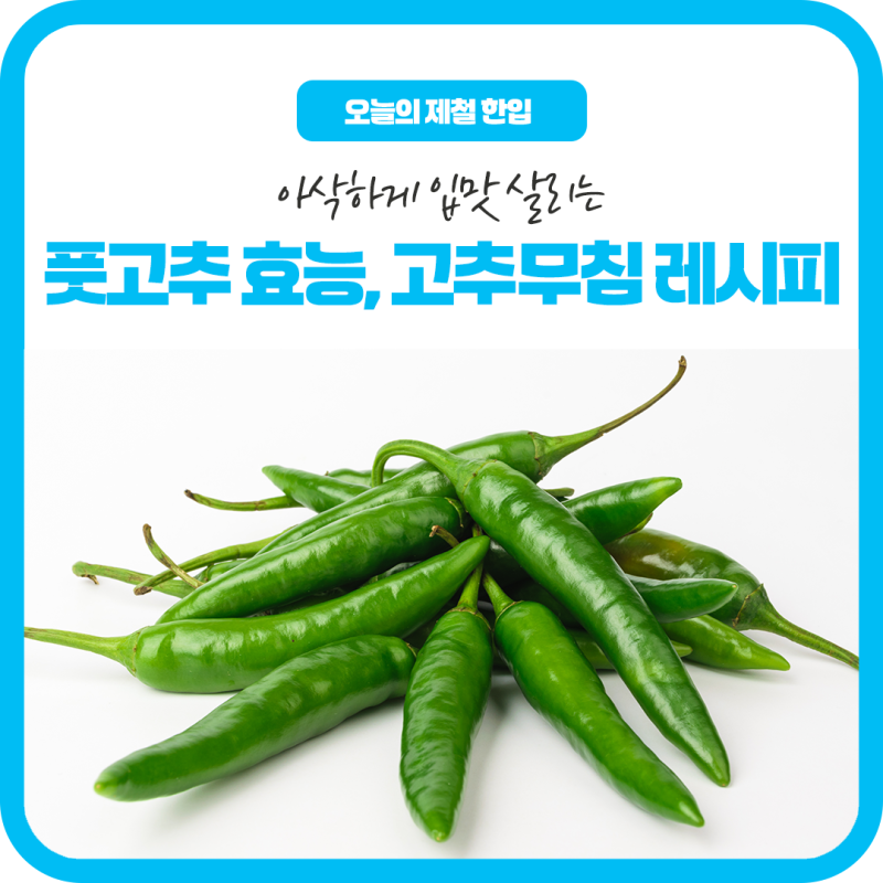 아삭하게 입맛 살리는 제철 반찬, 풋고추 효능과 고추무침 레시피
