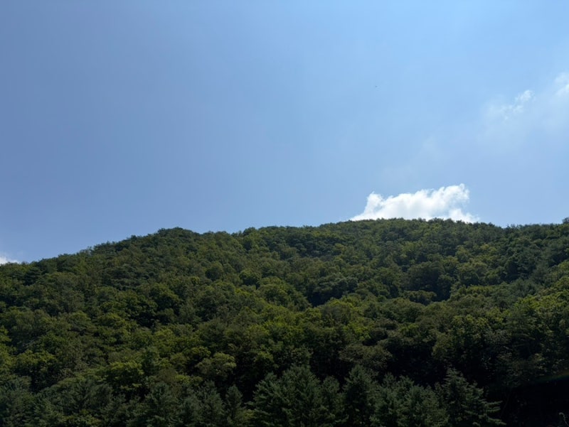 아이와 단양 여행 코스｜고수동굴·도담삼봉 모터보트·단양구경시장·보상재 한옥펜션