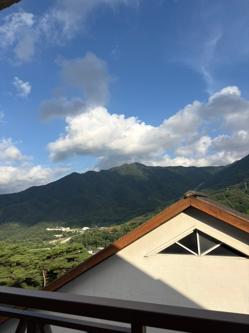 Muju Deogyusan Resort Cosmos-dong Royal Room Review