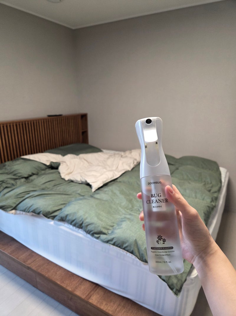 알레르기유발 집먼지진드기 퇴치하는 법? 침대 이불 매트리스 홈케어 총 정리 (feat. 둠벅 버....