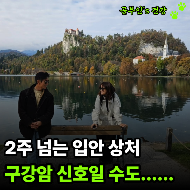 "동생 잃고도 슬퍼할 틈 없었다" 차인표가 털어놓은 가족 이야기, 구강암 신호는?