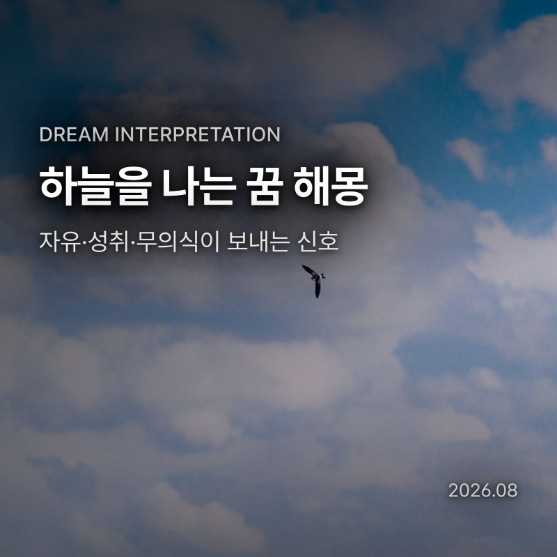 하늘을 나는 꿈 해몽, 왜 날았을까? 상황별 의미