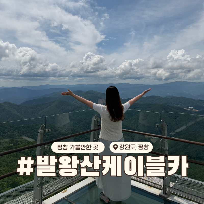 발왕산 케이블카 할인 예약 후기! 동선 추천 평창 가볼만한 곳