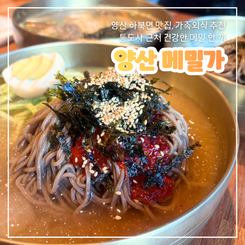 양산 하북면 맛집 메밀 향 가득했던 양산 통도사 맛집 양산 메밀가