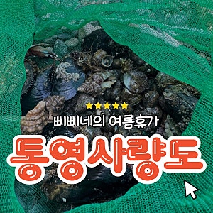 가족과 함께하는 통영 사량도 스노쿨링 해루질 여행 아이와 함께하는 즐거운 여름휴가 문어....