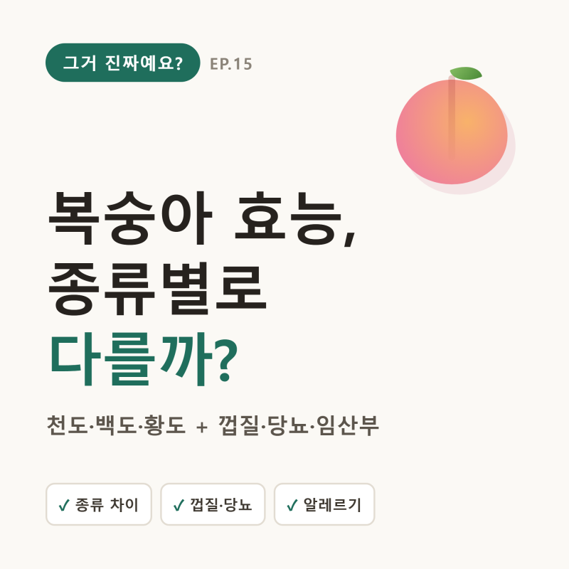 복숭아 효능, 종류별로 다를까? 천도·백도·황도 + 껍질·당뇨·임산부 총정리