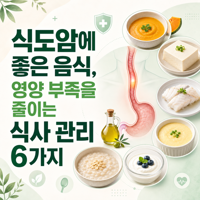 식도암에 좋은 음식, 영양 부족을 줄이는 식사 관리 6가지