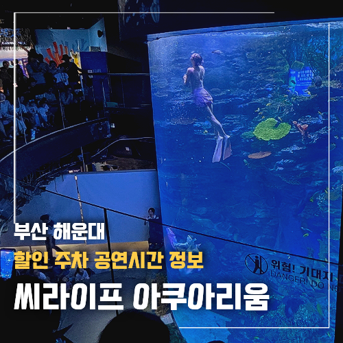 부산 해운대 씨라이프 아쿠아리움 여행특공대 티켓 할인 주차 공연시간 정보