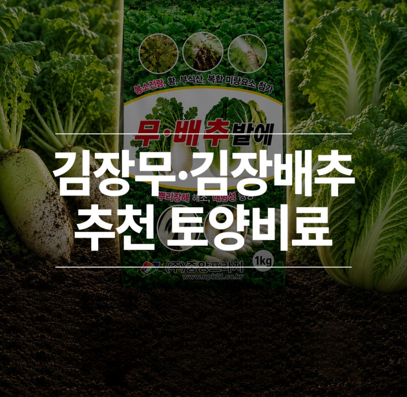 김장무 김장배추 건강하게 키우는 토양관리 비법 무·배추밭에 추천