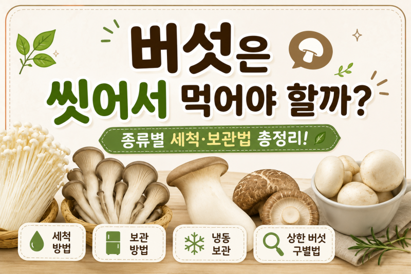 버섯은 씻어서 먹어야 할까? 종류별 세척법부터 보관법까지 총정리