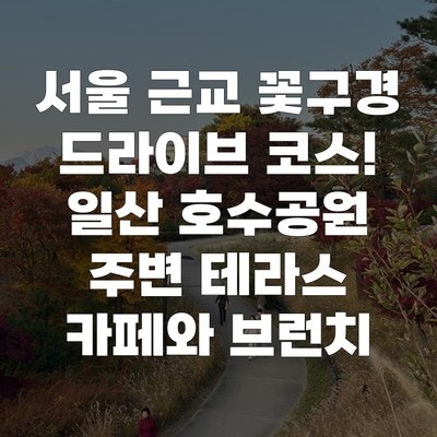 서울 근교 꽃구경 드라이브 코스! 일산 호수공원 주변 테라스 카페와 브런치