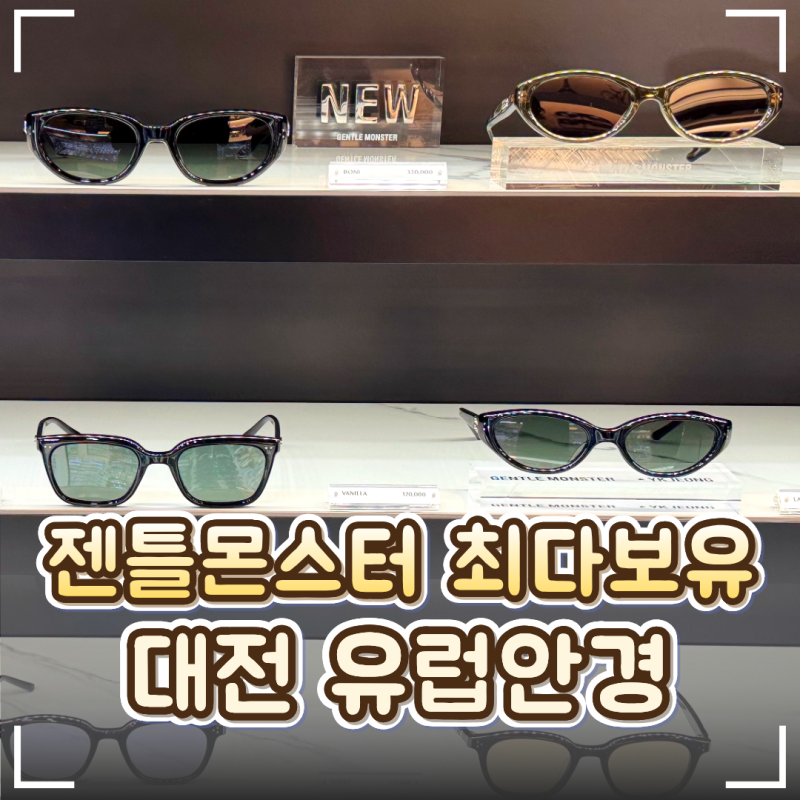  대전 젠틀몬스터 전문점 유럽안경 방문 후기