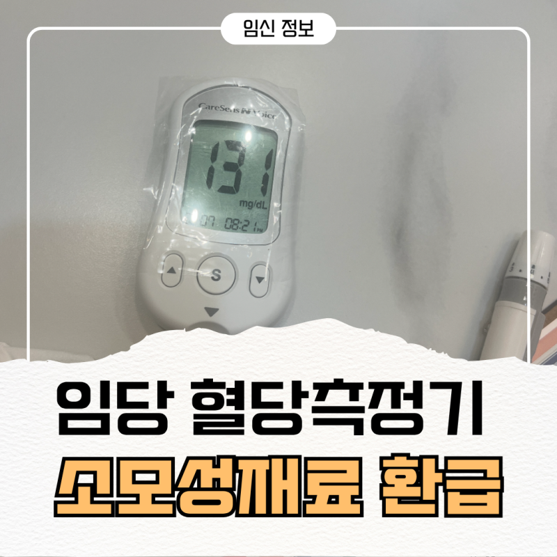 임당 혈당측정기 국가지원 소모성재료 환급방법