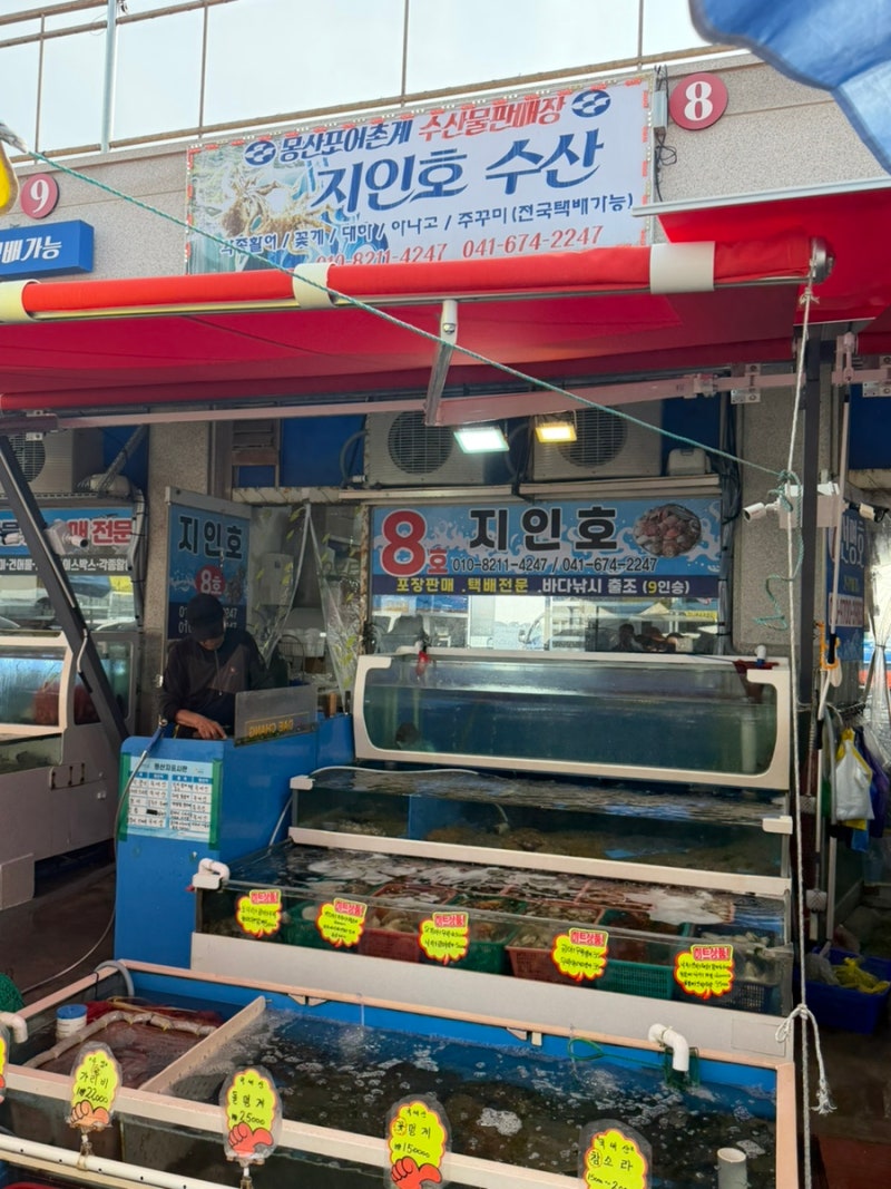 태안 몽산포수산시장 횟집 추천 | 8호 지인호 회포장 후기