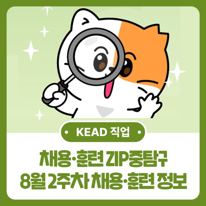 한국장애인고용공단이 전하는 8월 2주차 채용·훈련 ZIP중 탐구