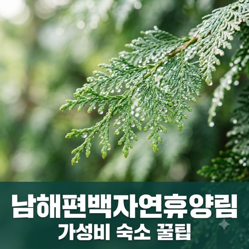 "호텔보다 낫네.." 남해편백자연휴양림 4만원대 숙소의 정체