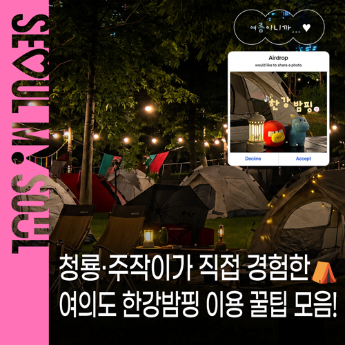 여의도 한강밤핑 직접 체험 후기! 현장에서 직접 확인한 예약·캠핑용품 대여·텐트 설치부....