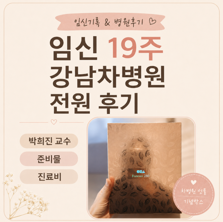 임신 19주 강남차병원 전원 후기｜박희진 교수 초진·준비물·진료비