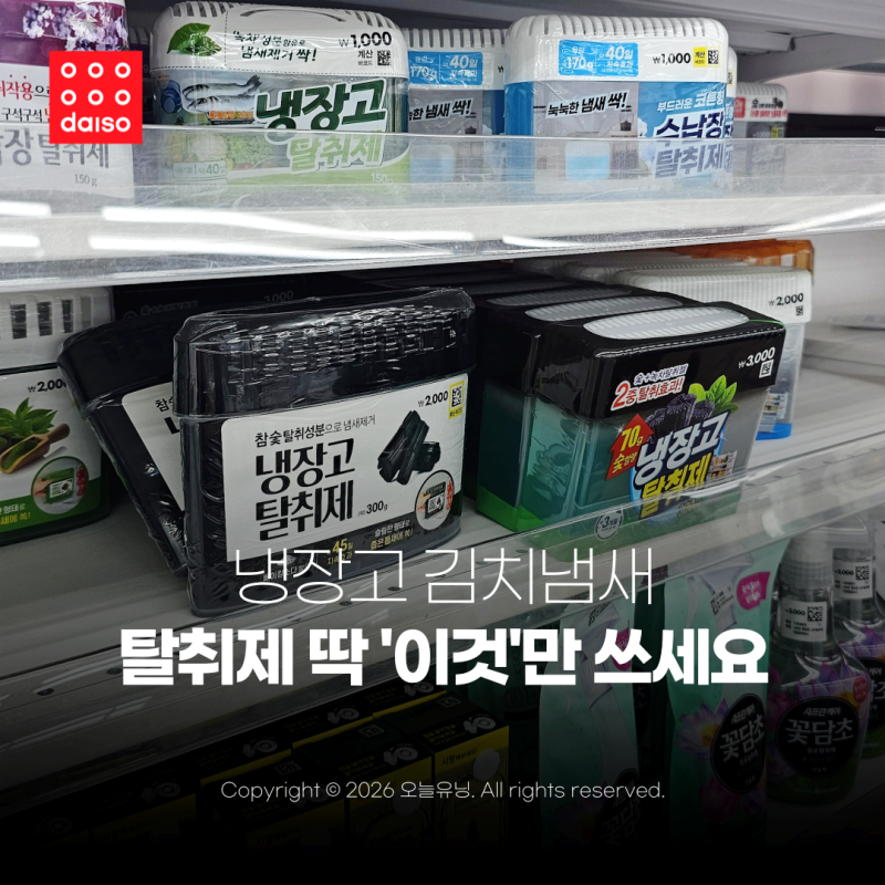 다이소 냉장고 탈취제 음식 냄새 잡는 추천템 BEST 3