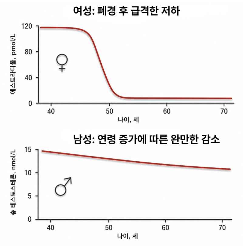 남성호르몬 주사 실비보험 1회만 나오고 2회부터 거절된 진짜 이유