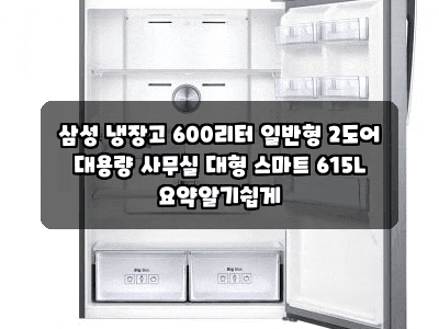 삼성 냉장고 600리터 일반형 2도어 대용량 사무실 대형 스마트 615L 요약알기쉽게