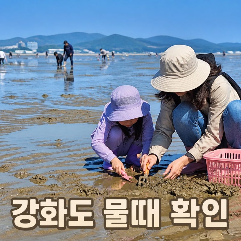 강화도 물때 물때표 시간, 소요시간 만조 간조 들어가기 좋은 시기