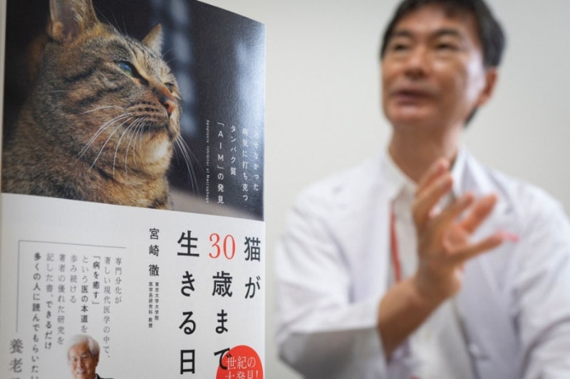 고양이 수명 늘리기 연구 주사개발 성공 『고양이가 30살까지 사는 날』