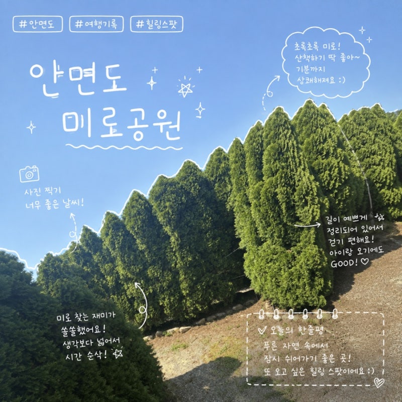 안면도 미로공원 직접 다녀온 후기 솔직히 어땠을까
