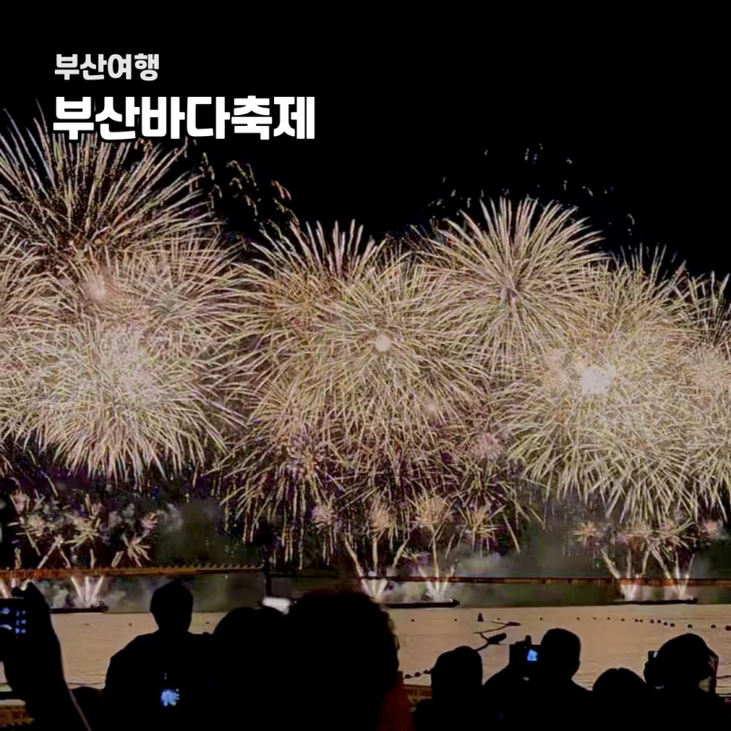 부산 8월 여행지 부산바다축제 다대포 해수욕장 방문 후기