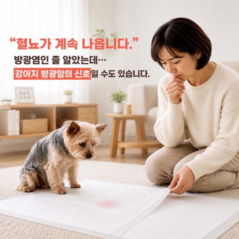 “강아지 혈뇨가 계속 나옵니다” 방광염인 줄 알았는데… 방광암이 보내는 신호