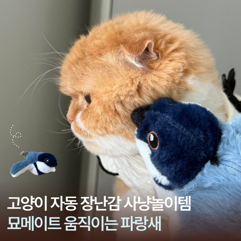 묘메이트 고양이 자동 장난감 움직이는 파랑새 고양이 사냥놀이