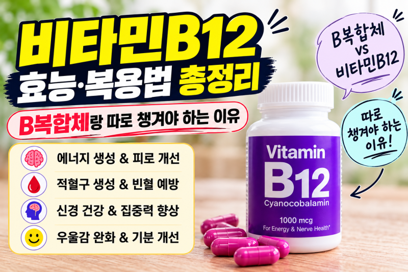 비타민B12 효능·복용법 총정리 — B복합체랑 따로 챙겨야 하는 이유