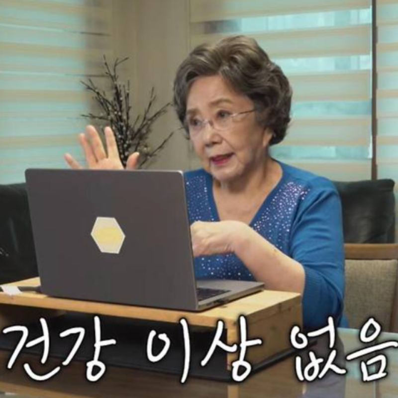유튜버로 전향한 사미자 프로필 고향 학력 재산 가족 나이 사건사고 유튜브