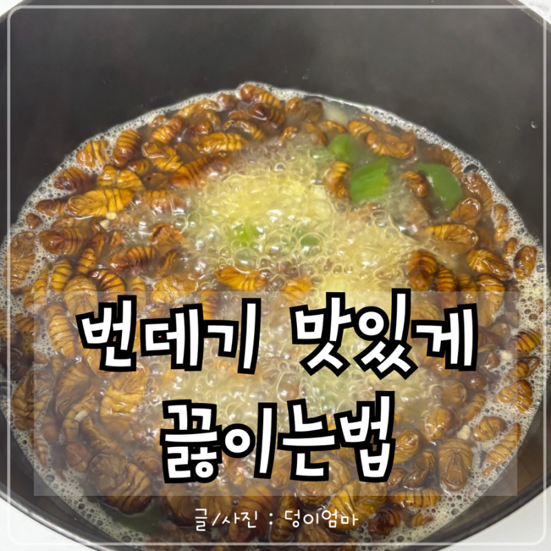 번데기 끓이는법! 번데기 영양부터 주의사항까지 정리