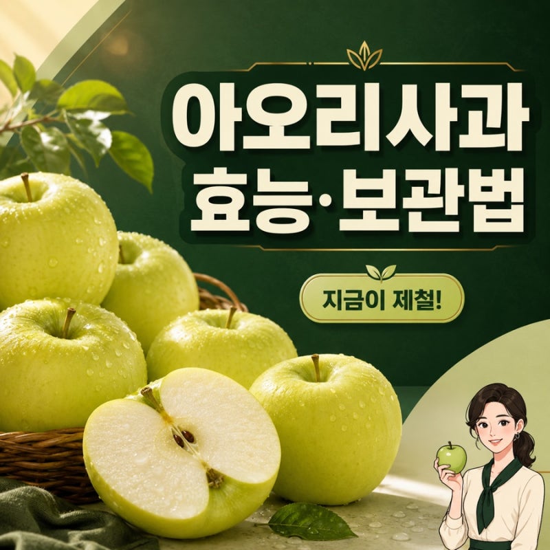 아오리사과 효능 보관법 뜻 제철 칼로리, 풋사과와 다른 점