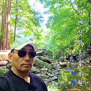 서울 근교 계곡 청계산 맑은숲공원 계곡 주차 맛집 감자바우