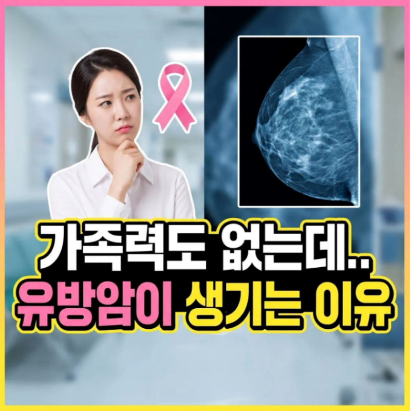 유방암 발생 원인 유방암 초기 증상 위험 요인