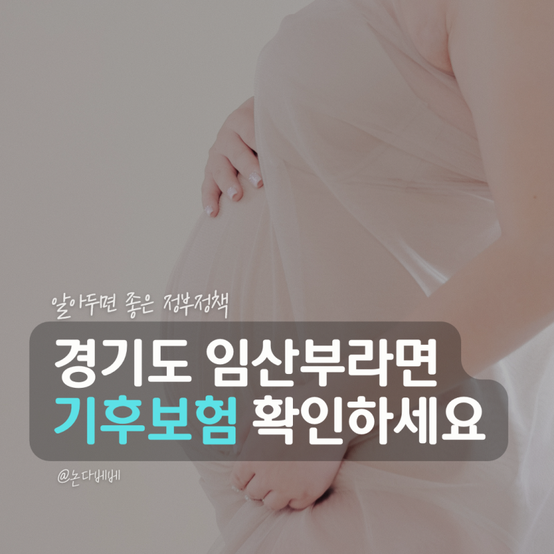 경기도 기후보험 임산부 혜택 보장내용부터 청구방법까지