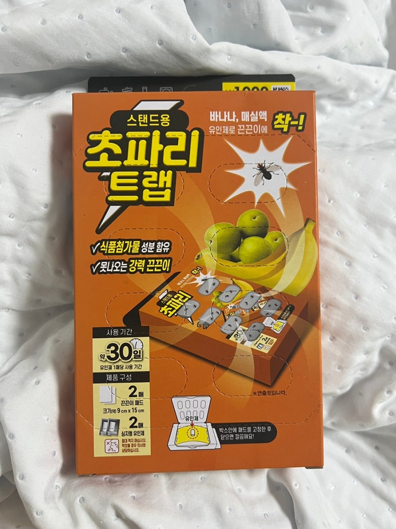 [다이소] 스탠드용 초파리 트랩 ㅣ 실사용 후기