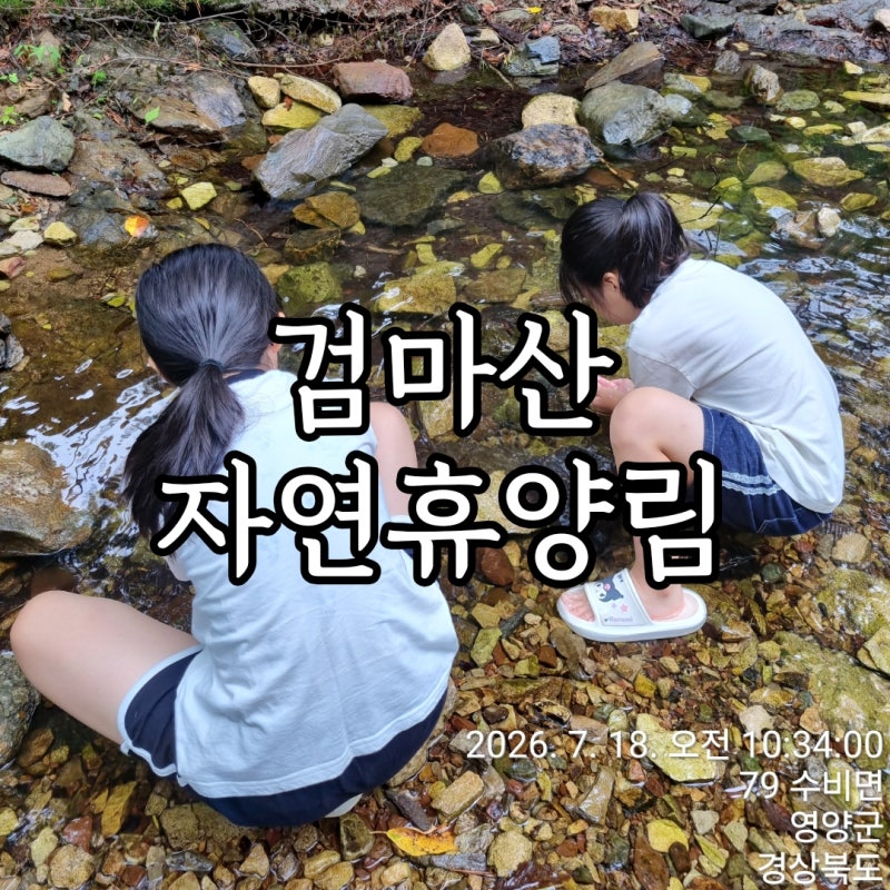12. 【영양군 수비면】 소나무숲과 문학이 공존하는 ㅡ 캐빈5호 :) 202....