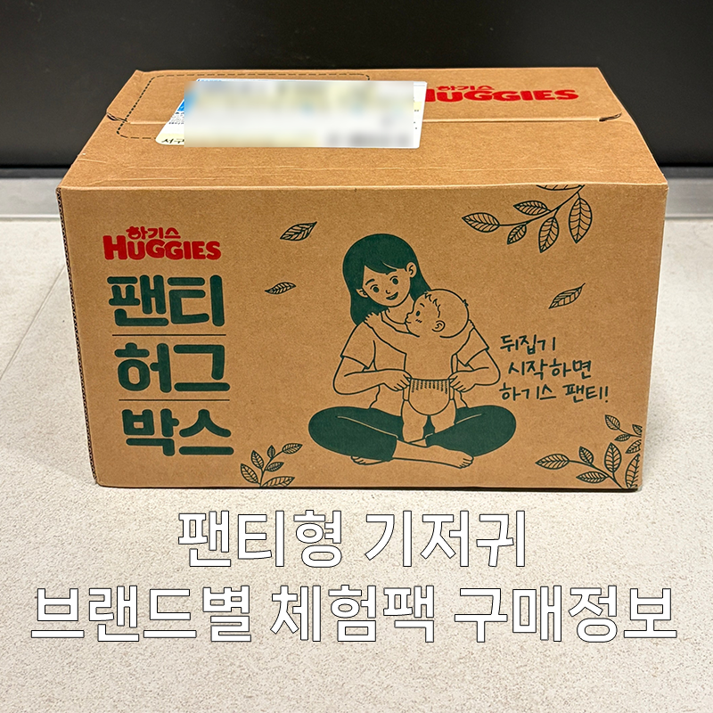 팬티형 기저귀 체험팩 모음 (하기스 팬티 허그박스, 나비잠, 팸퍼스, 오로라, 페넬로페)