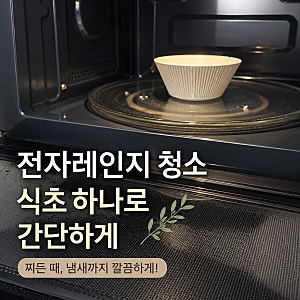 전자레인지 청소, 식초로 5분 스팀 청소하는 초간단 방법