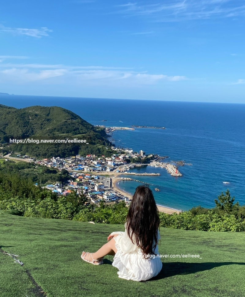 포항 가볼만한 곳 BEST 7 총정리, 1박 2일 여행 코스&인생샷 명소부터 박물관·체험까지