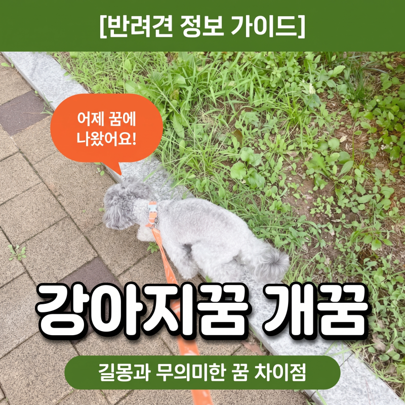 강아지꿈 길몽과 무의미한 개꿈 상황별 차이점